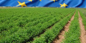 Εκπαιδευτικό Πρόγραμμα Ερευνητών: Ευρωπαϊκή Αγροτική Διακυβέρνηση
