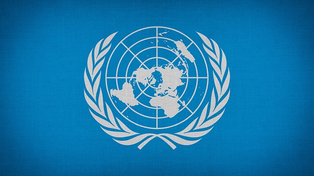 Μελέτη ΟΗΕ: Η έξαρση της περιβαλλοντικής εγκληματικότητας
