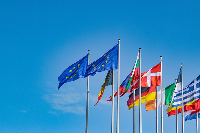 Συγκριτική μελέτη: Δημοσίευση δικαστικών αποφάσεων στο διαδίκτυο στα κράτη μέλη της ΕΕ